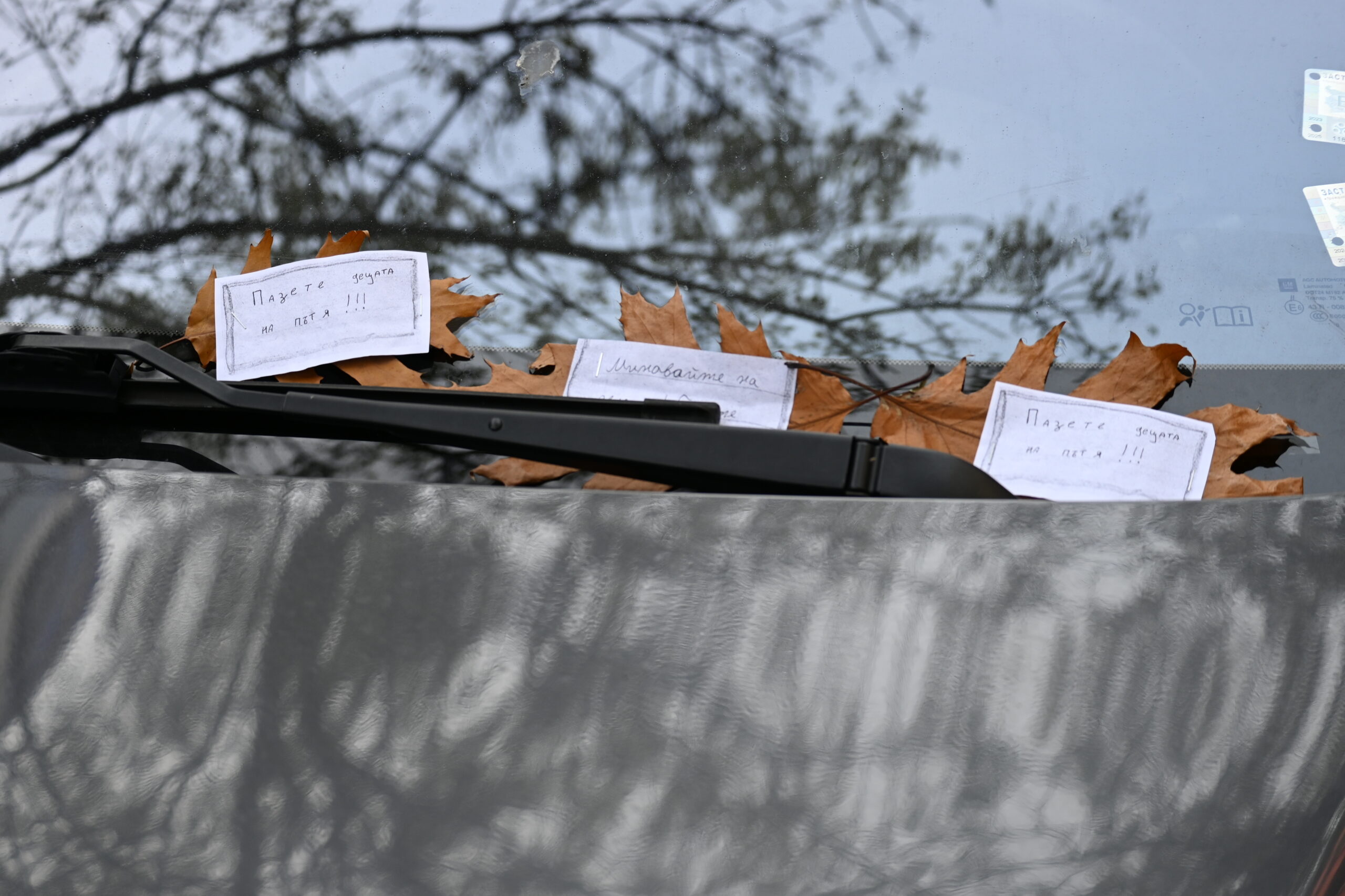 В НДД започна образователната кампания за безопасност на движението „Посланията на есенния лист” В НДД започна образователната кампания за безопасност на движението „Посланията на есенния лист”